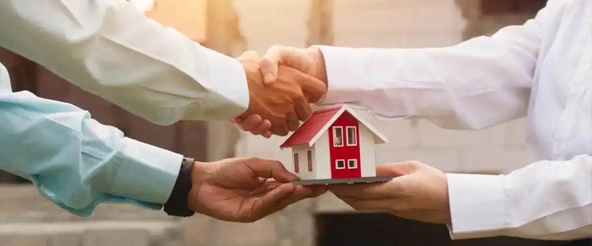 Sattva Group Sattva Group